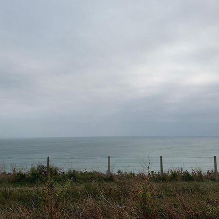 Sanctuary By The Sea With Large Room Including Lounge, Bathroom, Direct Garden Access & Free Parking Brighton Exteriör bild